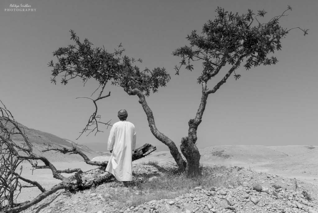 My Omani Guide explaining the importance of Frankincense to Salalah